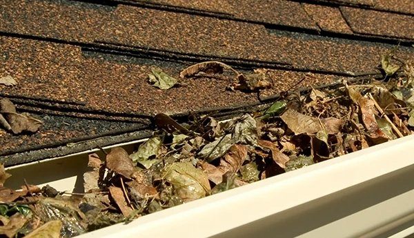 Tips for Maintaining Rain Gutters in Reno